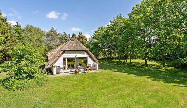 Beach front home in Ulfborg with WiFi