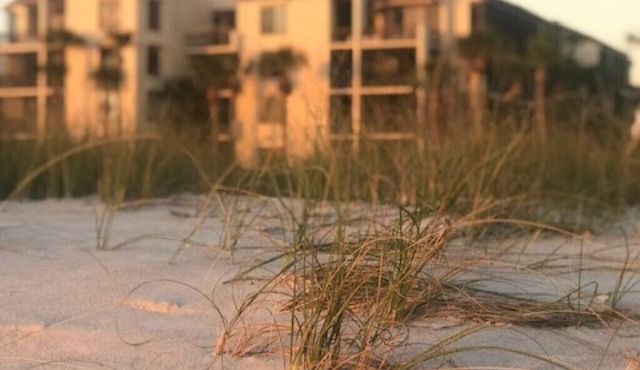 BEACH Front- RARELY AVAILABLE REMODELED - DISCOUNTED 2026! Steps to Saint Regis