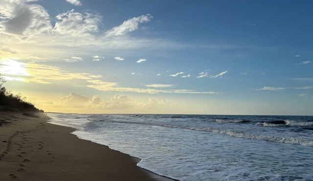 Beach Gardens -Walk to the Beach