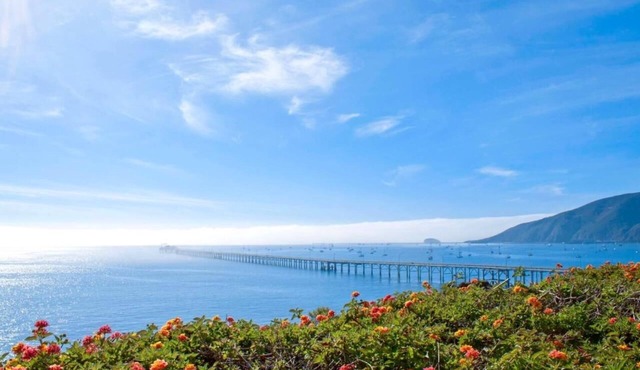 Beach Getaway Near Old Port Beach! 2 Cozy Units w/Full Kitchen, & Onsite Pool!