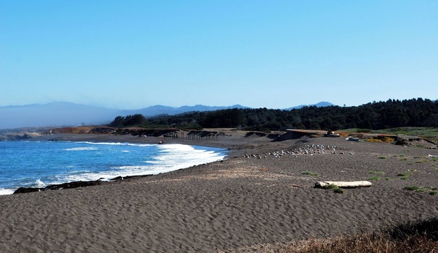 Beach Haven - MacKerricher State Park nearby - Ocean View Home & Guest House