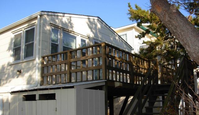 Beach Haven Gardens, One House From The BeachnSaturday to Saturday rentals