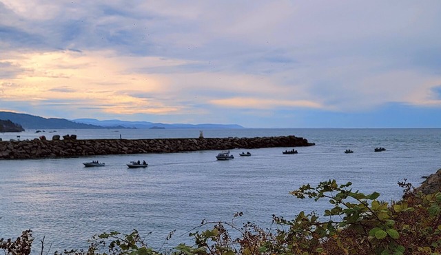 Beach home with Netflix, Wifi and BBQ!