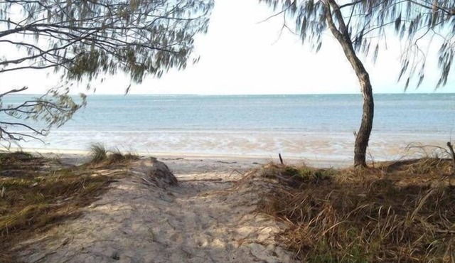 Beach Hound (pets welcome)