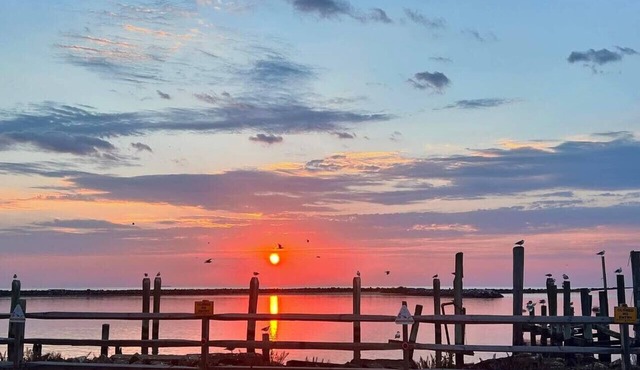 Beach House Close to DE Turf