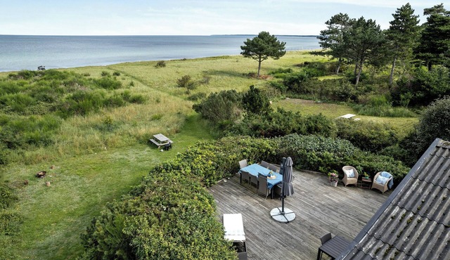 Beach house with wild roses and sunbeams