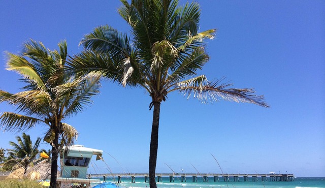 Beach House in Hollywood, steps the the shore!