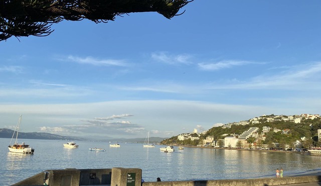 Beach house in Oriental Parade