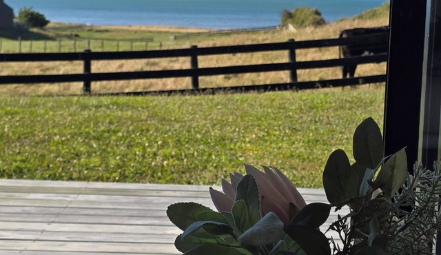 Beach House Tranquility