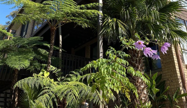 Beach House - Walk to the Water - Kayaks +Toys