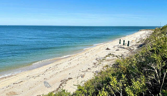 Beach lodge with private beach-2.5 acres of quiet nature,4 beds, chef’s kitchen