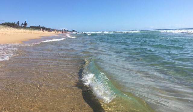 BEACH Luxury Upmarket 2B 2B unit, OCEAN VIEWS! 250m to BUDDINA BEACH!