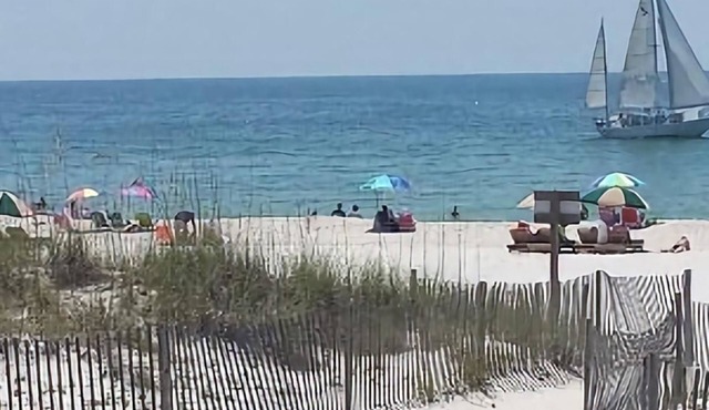 BEACH MEISTER-We Supply Everything including free shuttle from & to GUF Airport