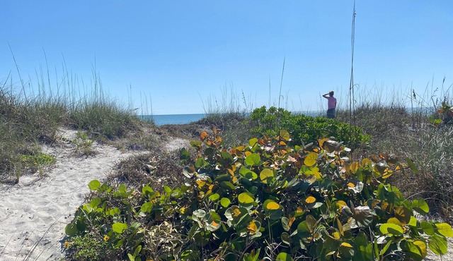 Beach Paradise. Spacious, rustic, charming, original Florida style beach house.