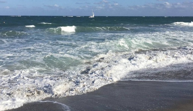 Beach-Park Paradise - Amazing Location – Park/Beach/Golf/Fishing/Jupiter’s Best!