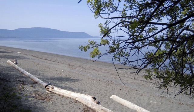 Beach, Pickleball-Tennis Court & Basketball Court