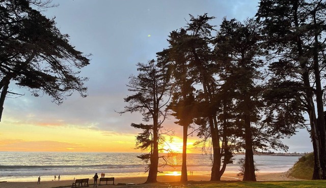 Beach, pool, gym, wifi—everything included.