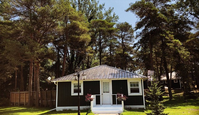 Beach Property with Three cottages & RecHall all just 30 steps off the beach
