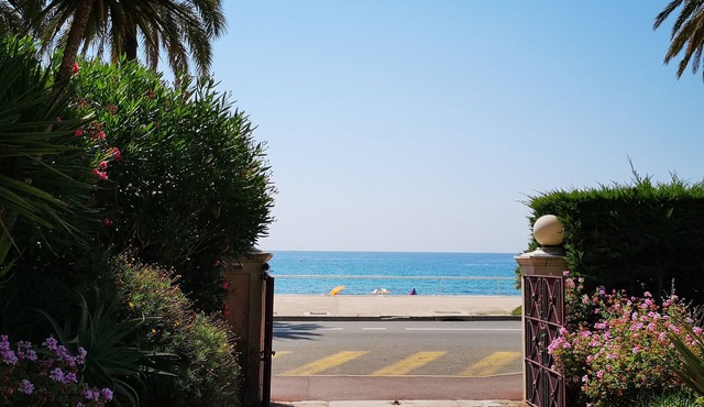 Beach & Serenity: Fully renovated 1 Bd Apt, 10meters from the beach