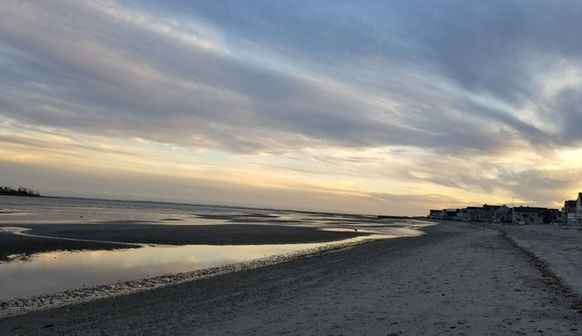 Beach side rental booking 2025 : Sea Drift Cottage August Availability