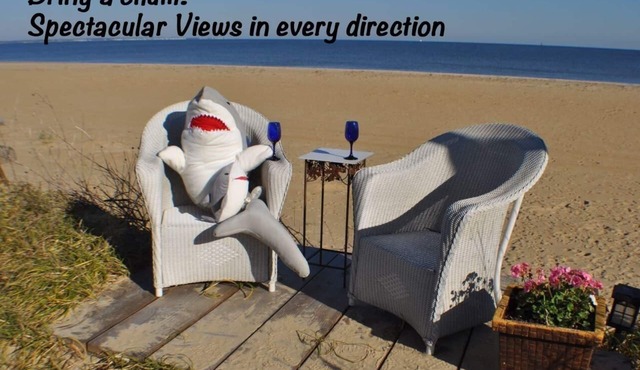 BEACH THERAPY! Stay on the Beach! Fish, Swim, Kayak, Have fun!