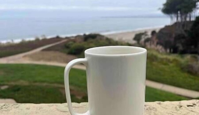 Beach View Condo @ Seascape Beach Resort, Aptos CA