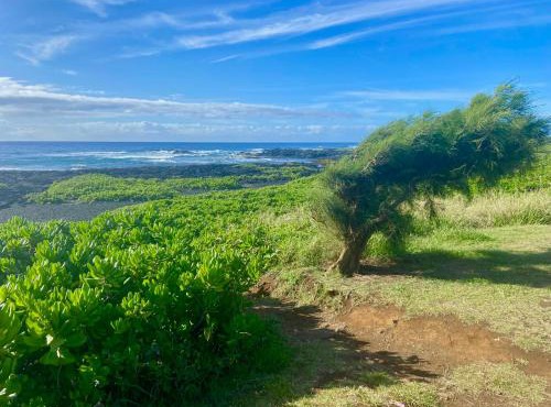 Beachfront 1 Bedroom Condo with Private Beach, Pool, Hot Tub