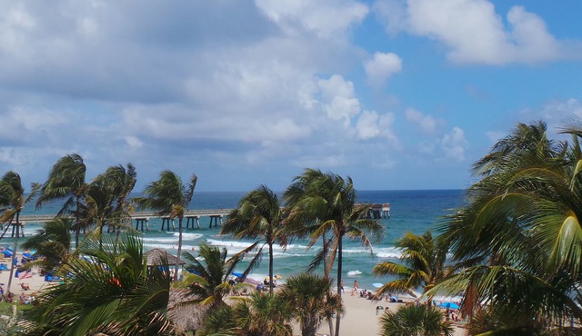 Beachfront! Direct Ocean! as Close as You Can Get to Dfb Pier!