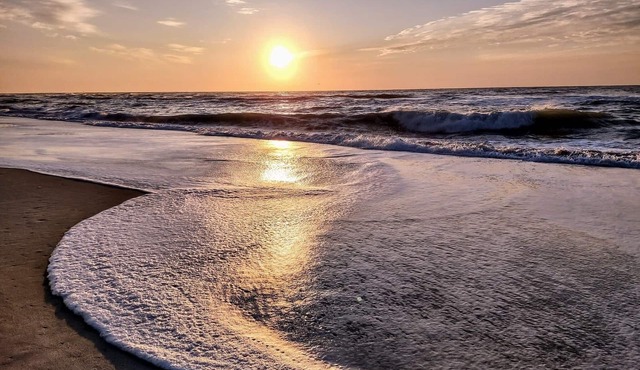 “BEACHFRONT ELM” IS CALLINGn~Oceanfront~Private Beach Access~Pool~