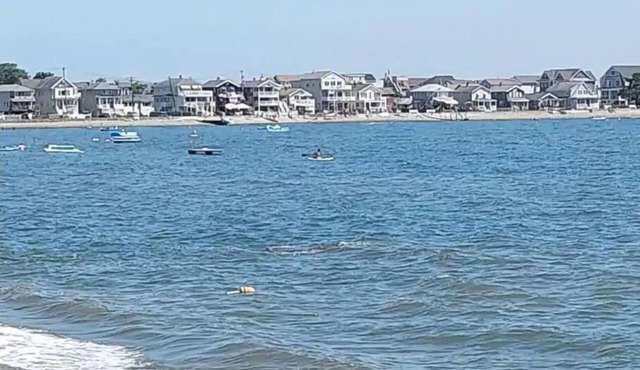 Beachfront getaway in Milford