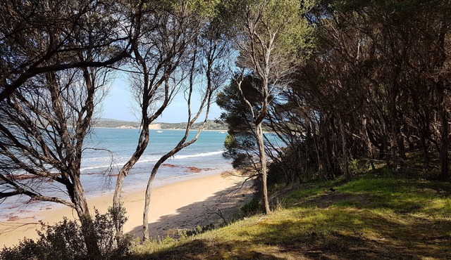 Beachfront House with Water Views