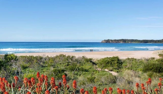 Beachfront House with direct access to the Beach. Just bring your beach towel!n