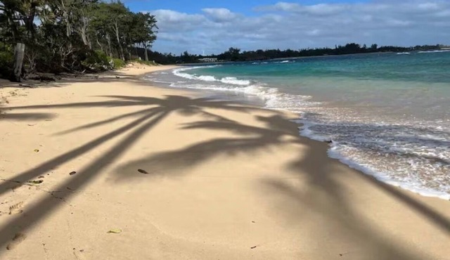 Beachfront North Shore Oʻahu- 5BR w/Direct Beach Access