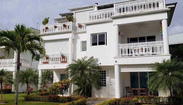 Beachfront Paradise 1 bedroom condo, 50 meters from Playa Popy, sleeps up to 4