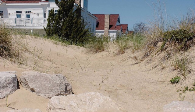 Beachfront Paradise: King Suite - Sleeps 8!