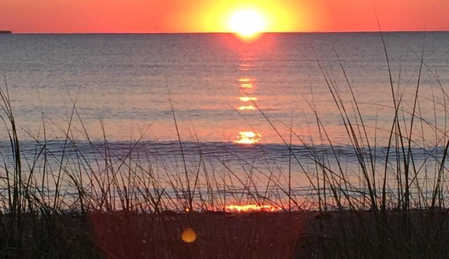 BEACHFRONT RENTAL An artist's house on a dune in a wildlife sanctuary.