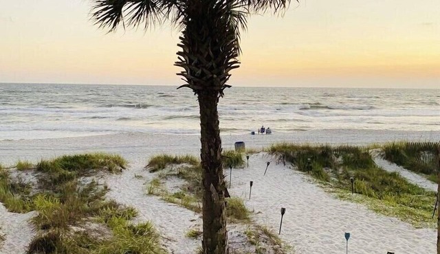 Beachfront "Sealee" Unit # 16 West End Of PCB Beach Right Out Your Back Door!