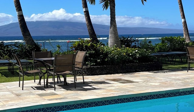 Beachfront Studio Featuring Turtles, Monk Seals, Whales, Surf & Mountain Views