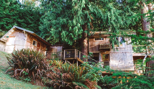 Beachfront Treehouse in the Heart of Puget Sound
