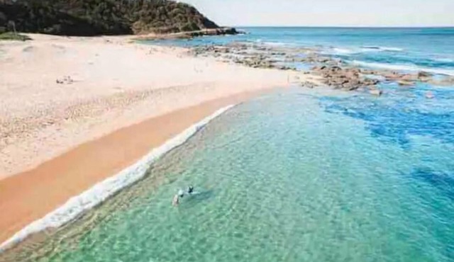 Beachside cabin + solar heated pool @ Spoon Bay