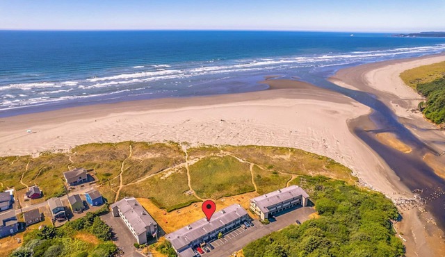 Beachside Condo next to the Moclips River