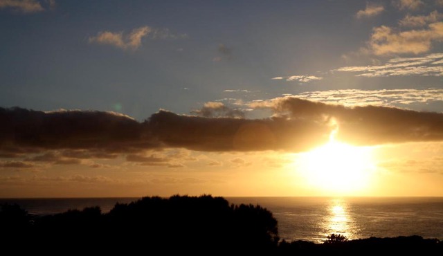 Beachside Entertainer
