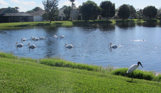 Beachwalk Isles Executive 4 Bedroom Lakeside Pool Villa