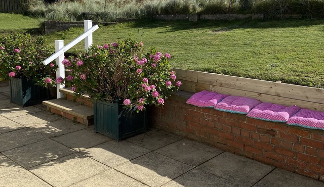 Beadnell Fantastic Bungalow - garden backs straight onto dunes and beach.