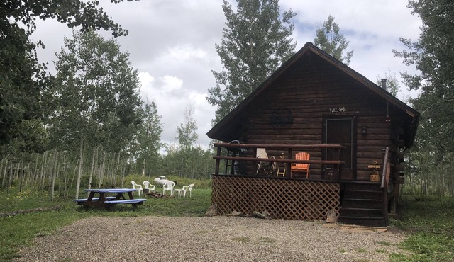 Bear Bait Cabin is cozy and rustic overlooking beautiful aspen trees
