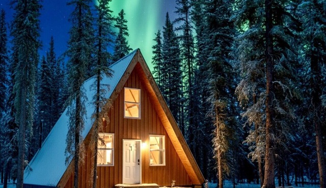 Bear Cabin 1 in Tok Alaska