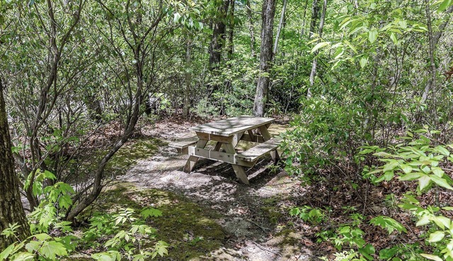 Bear Cave - Unique Cabin w/Fire Pit and Tennis On Site