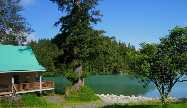 Bear Country Lodge #1