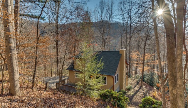 Bear Creek Cabin | Private Mountain Cabin Near TIEC, Saluda & Hendersonville