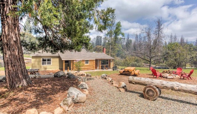 Bear Creek Cabin w/Hot Tub, Pets on 40 acres!